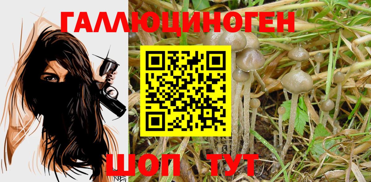 Псилоцибиновые грибы Magic Shrooms Дальнегорск