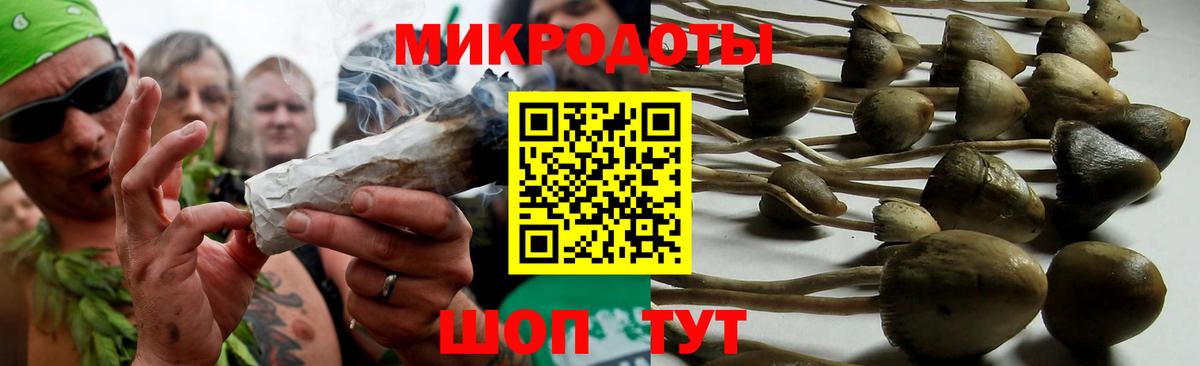 Дальнегорск  Псилоцибиновые грибы ЛСД  Псилоцибиновые грибы Cubensis  Вход с VPN 